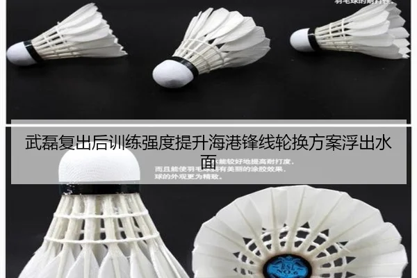 武磊复出后训练强度提升海港锋线轮换方案浮出水面 | Kaiyun